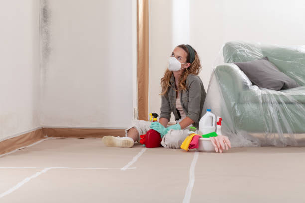 Reliable Bathroom Mold Removal contractor in Lakeville, MN by WQB Mold Removal